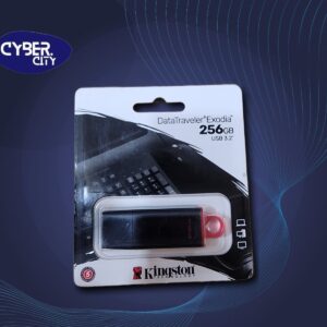 Kingston 256 GB USB